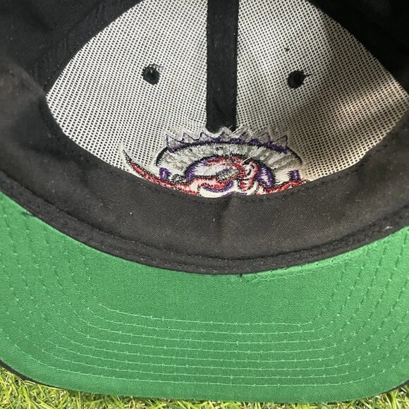 Vintage Toronto Raptors starter snapback - Picture 6 of 10